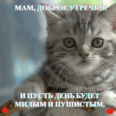 Гифка маме/otdushy.ru