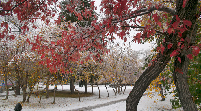    Фото Михаила Перикова