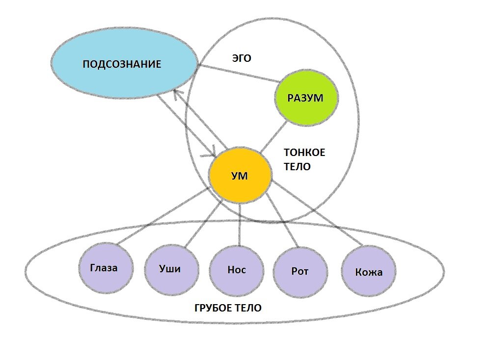 Представление о нас и нашем ментальном аппарате 