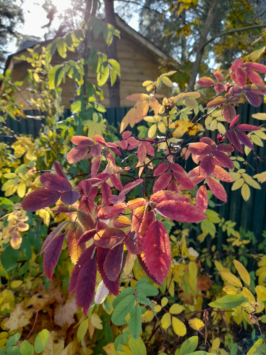 Фото автора