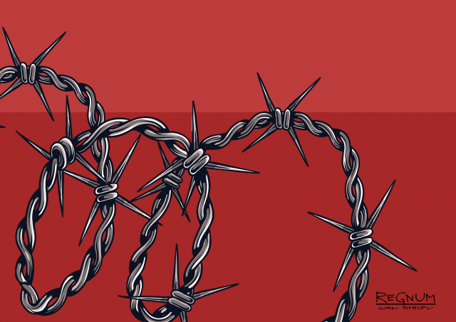    Колючая проволока Иван Шилов © ИА REGNUM