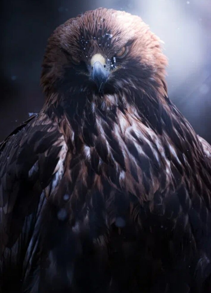 Данное фота скачена с интернет ресурсов.