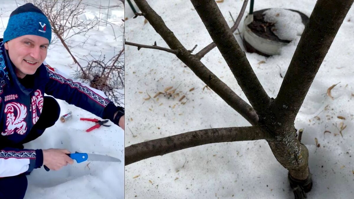 не допускаем ветвление пучком равнозначных веток