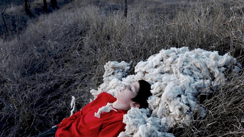   
 Фото: dairafest.com/