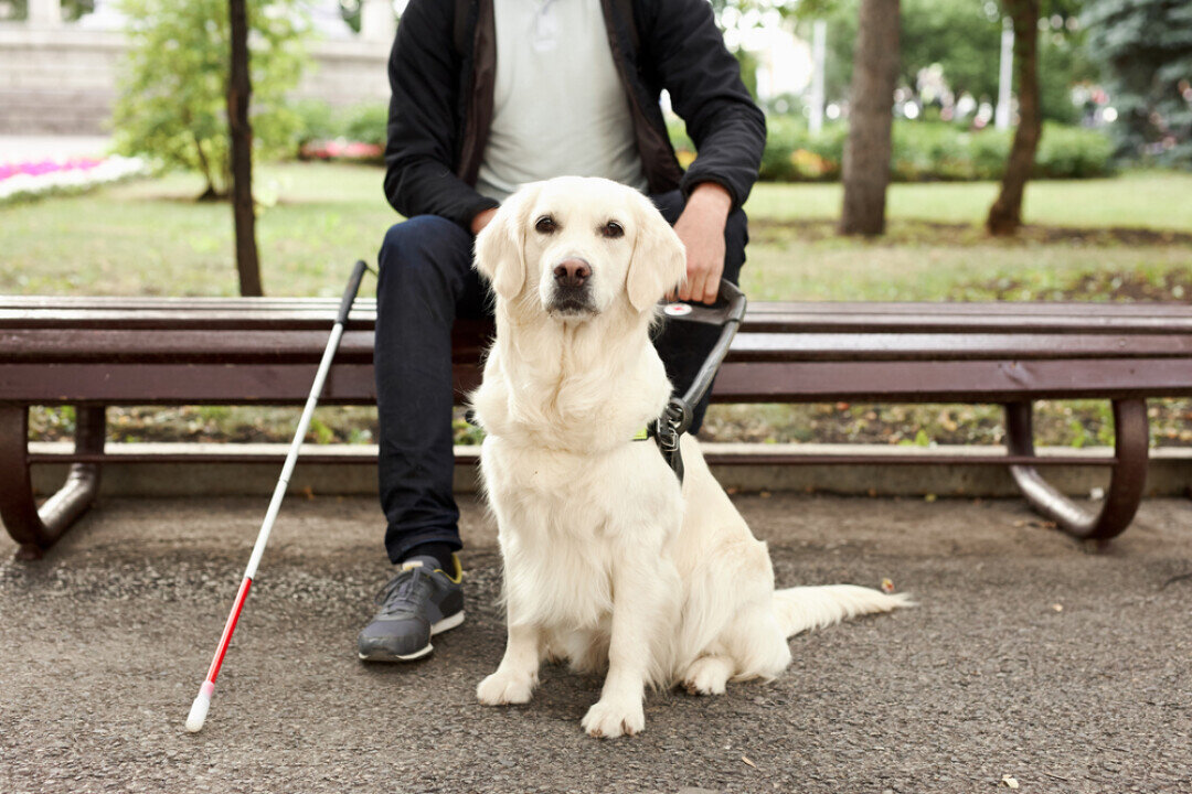    Фото: Shutterstock.com