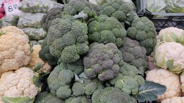   © Sputnik / Ольга Деменчук