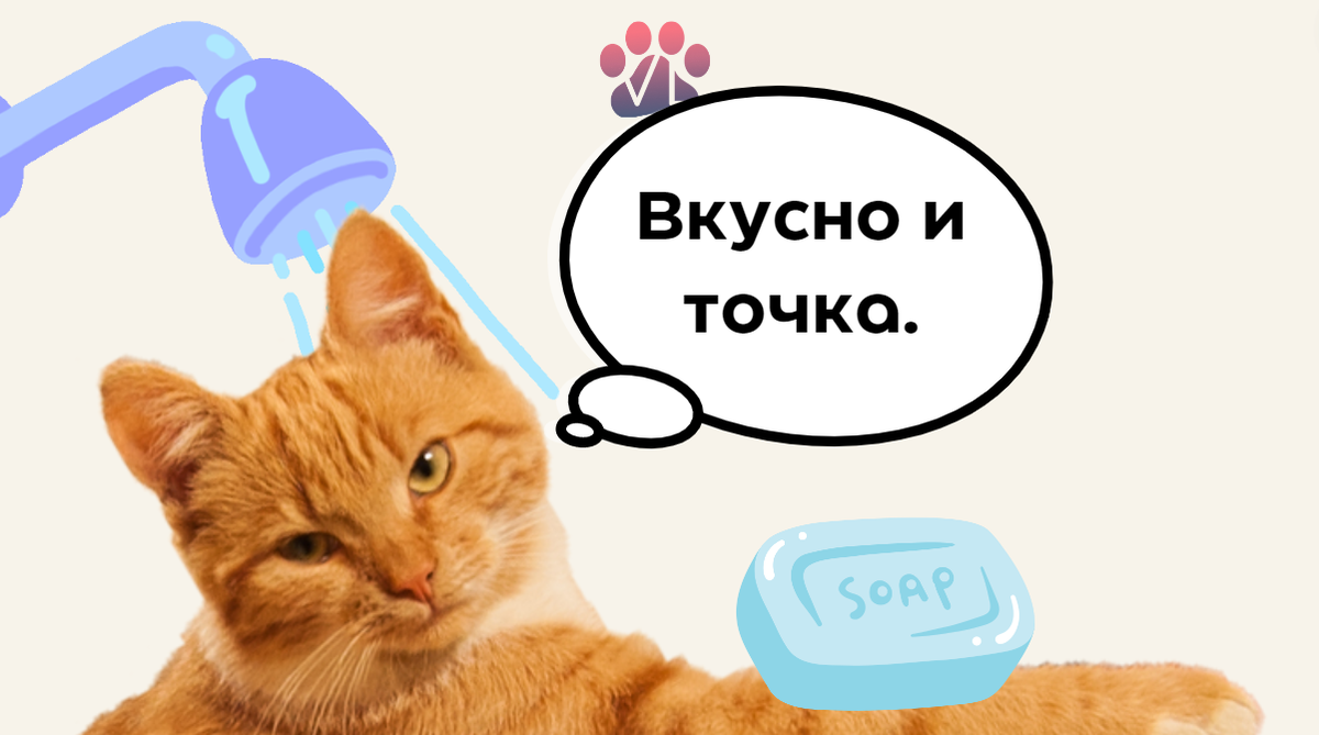 Кот съел гель для душа / первая помощь | Ветеринарный диетолог vetLIFE |  Дзен