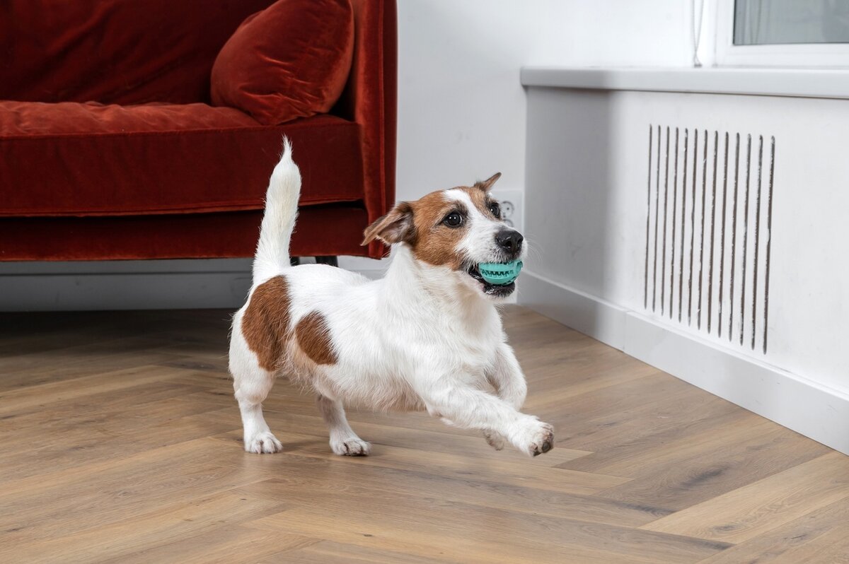 Можно листать