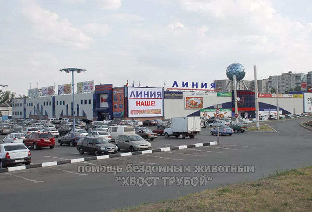 Линия ул энгельса 70 курск фото