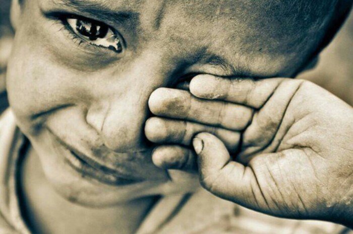 Из свободного доступа 