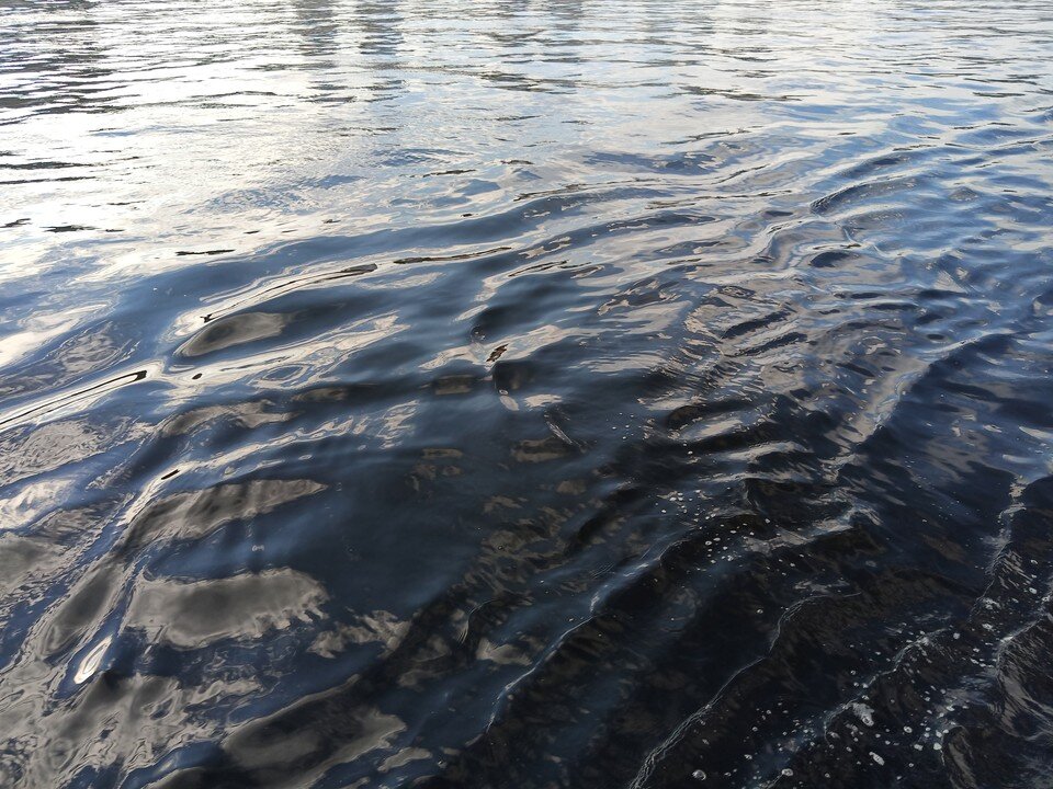     Волгу и водохранилище должны очистить по решению суда Эдуард Пальгунов