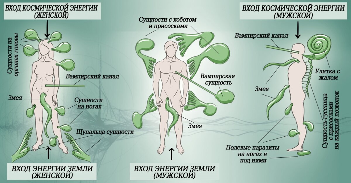 Подселенцы в человеке фото