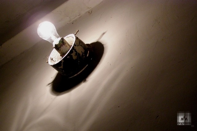    Свет Анна Рыжкова © ИА REGNUM