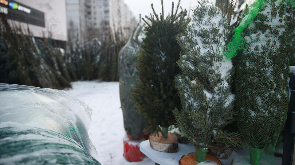 Фото: © Известия/Зураб Джавахадзе