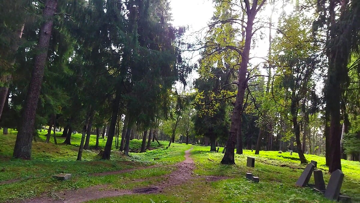 Благоустроенных дорожек нет, ходи как по лесу