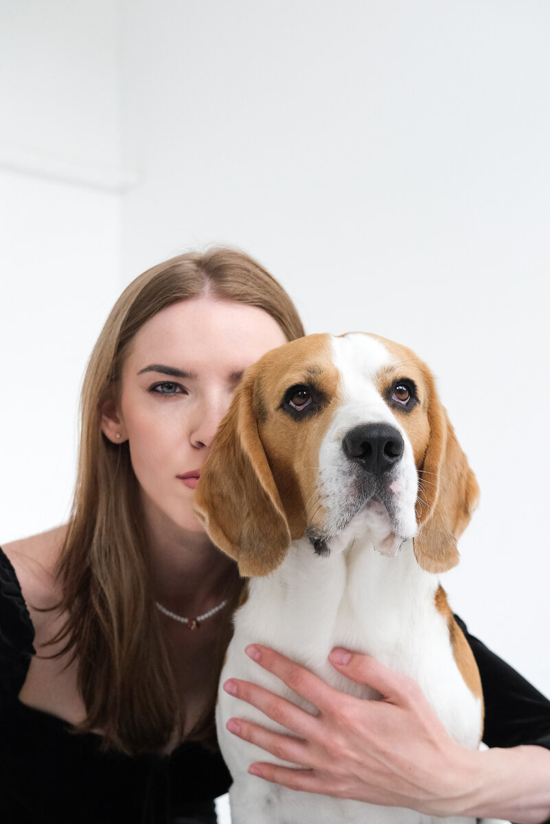 Почему собака тревожится в одиночестве? | Собачья Академия PRO CONTACT ...