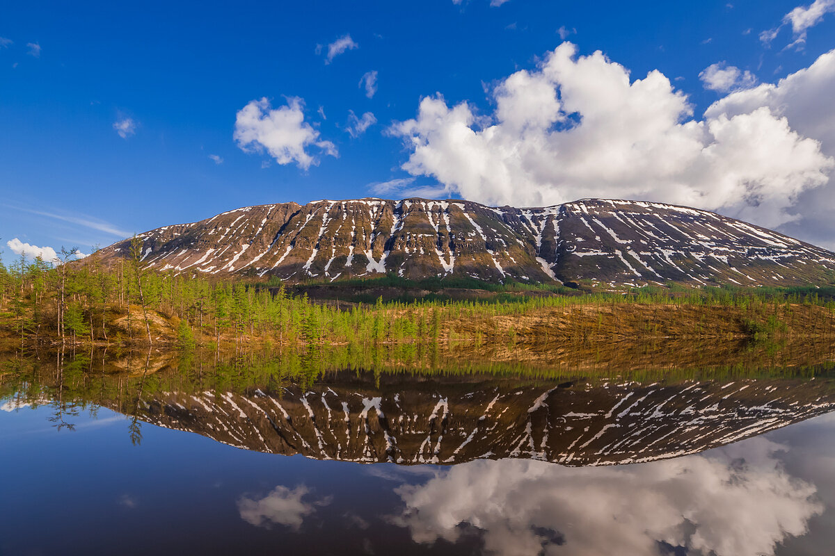 Плато Путорана Тайга