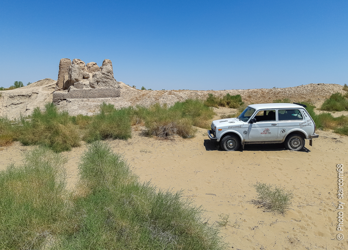 Белка у древних стен Пойкенда