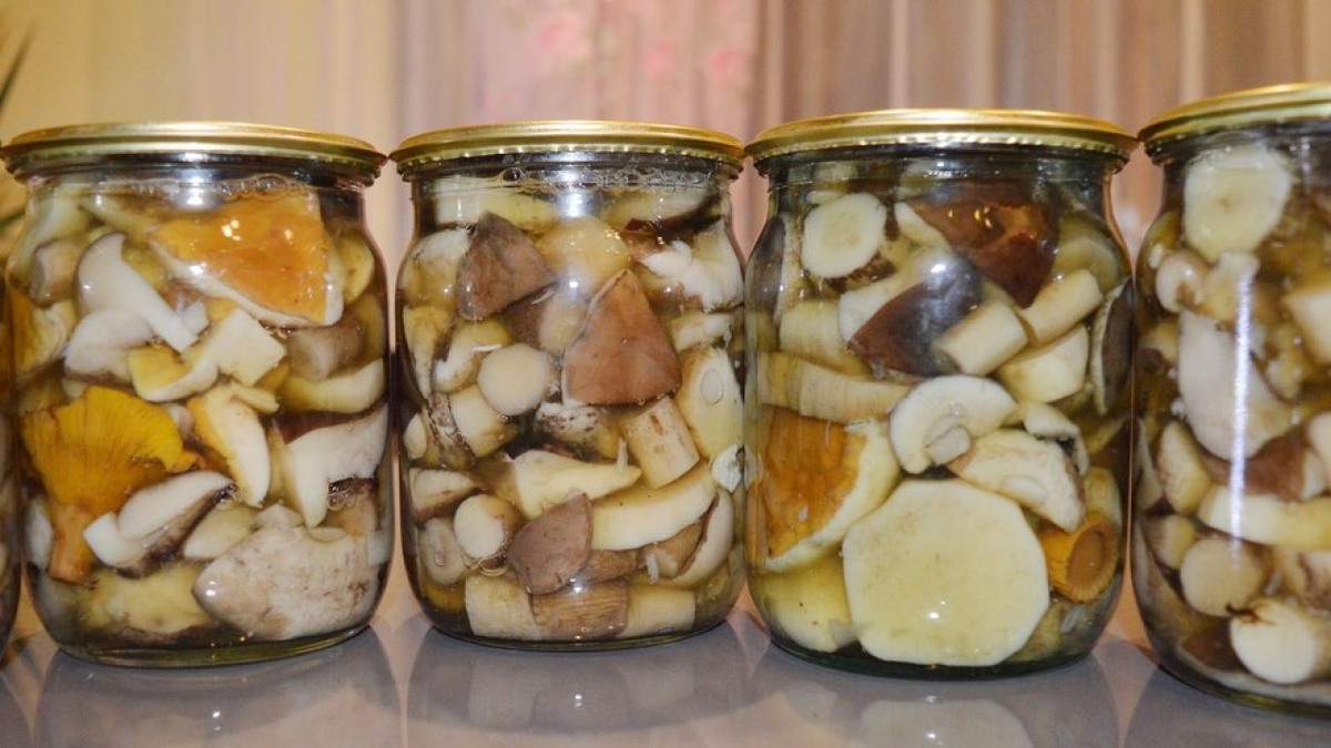 Есть грибы во сне