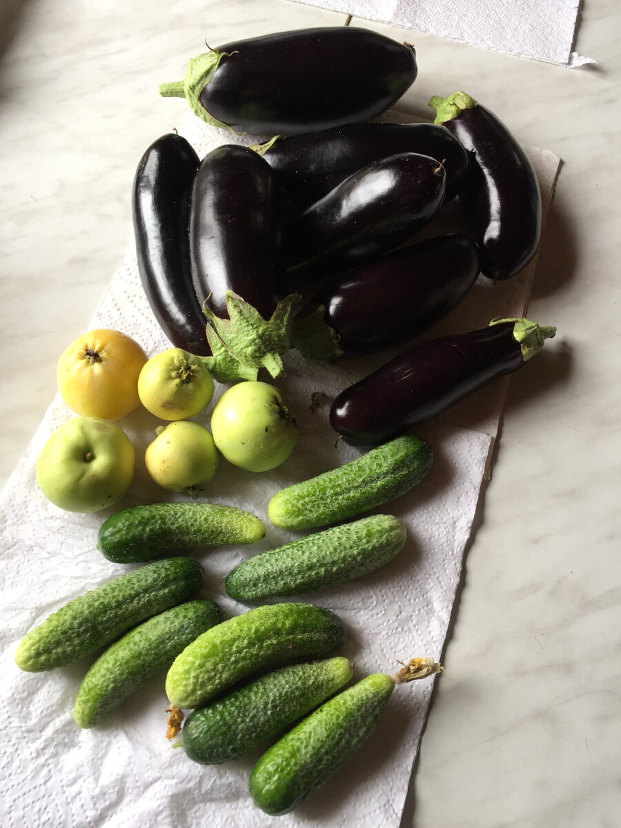 Можно уже делать заготовки на зиму