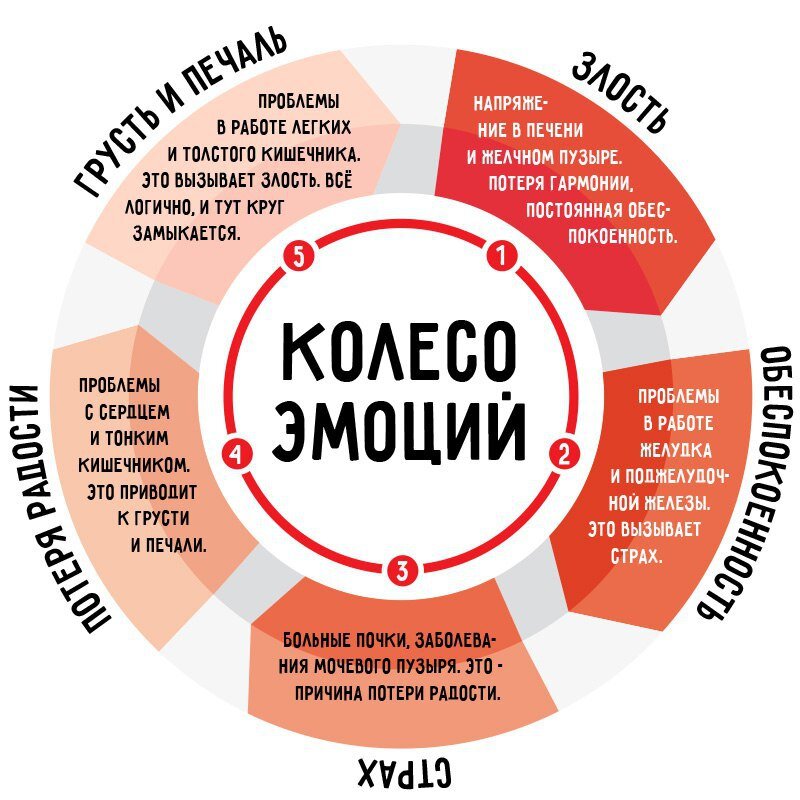 И в горе, и в радости: 6 фраз — если их каждый день говорить мужчине, он будет счастлив с вами