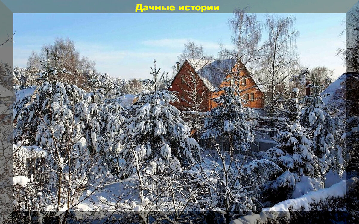 https://vk.com/photo-159774511_457257187