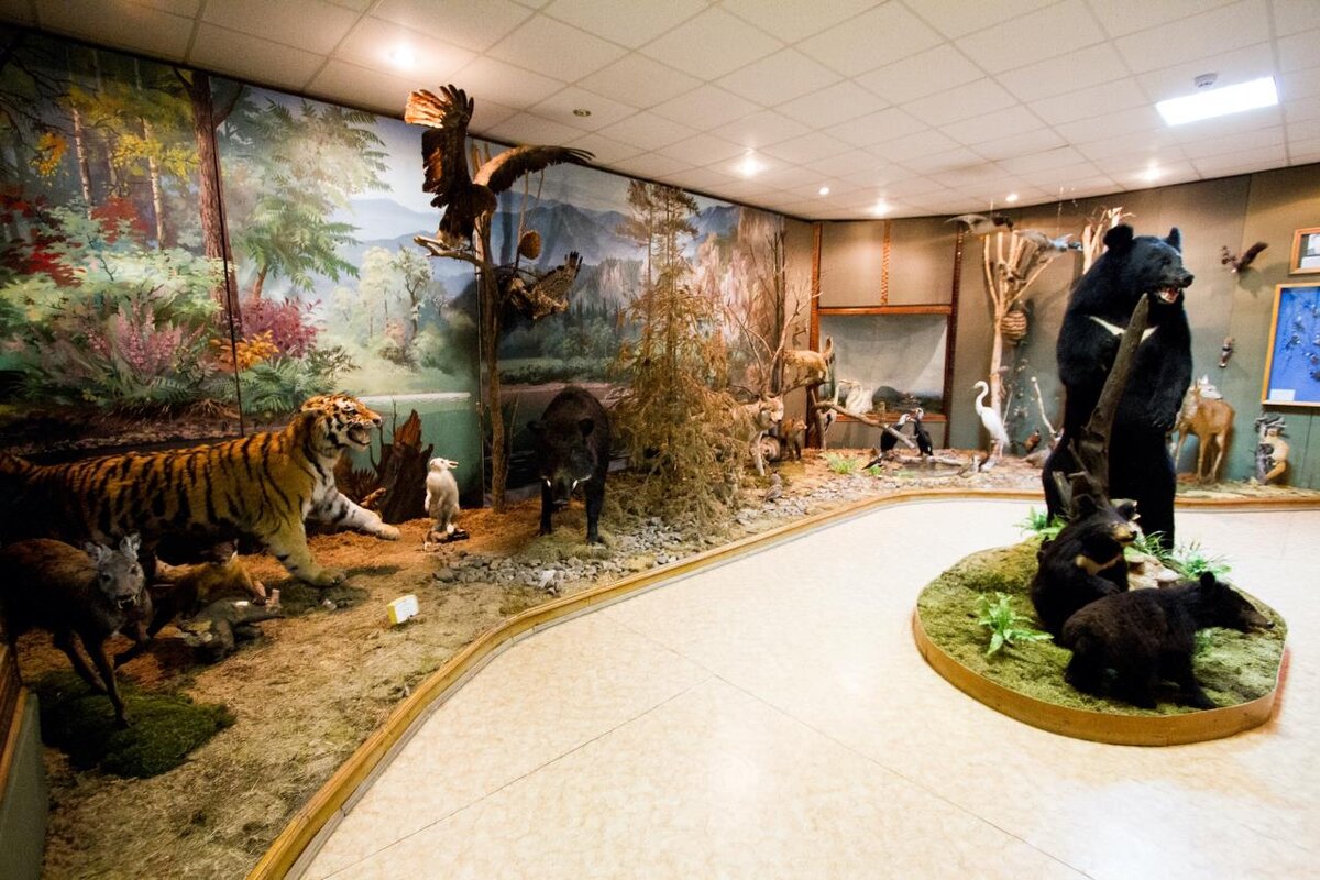 Яндекс. Картинки