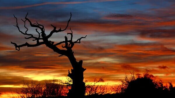   CC BY 2.0 / Jon Bunting / Winter Solstice