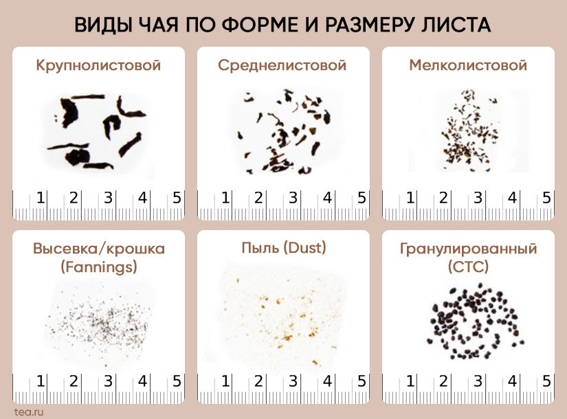 Размеры листьев