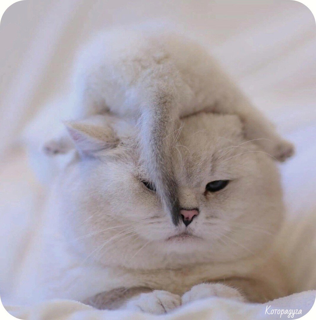 Посмеялся сам - поделись с другом!!!