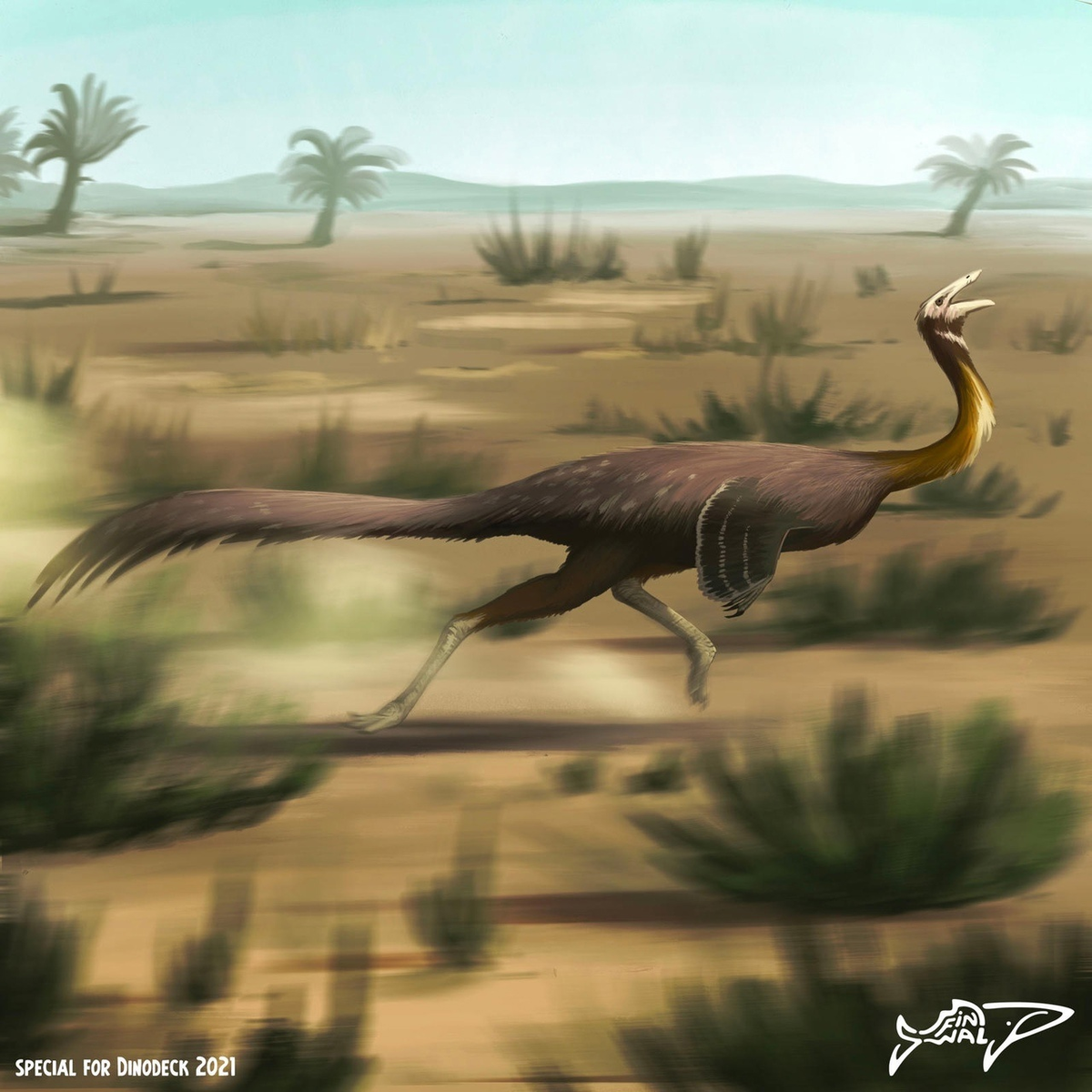 Галлимим: Дино-страус, развивавший скорость в 56 км/ч. Один из самых быстрых динозавров за всю историю!