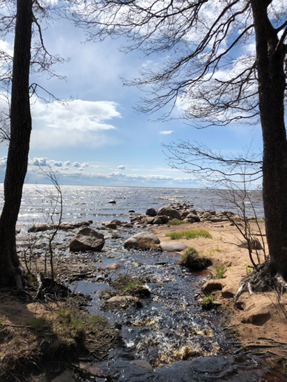 Фото автора. Город Зеленогорск. Финский залив. Начало мая 2022 года.