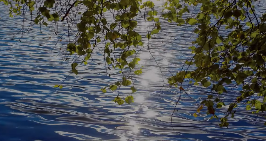 Воспоминание о лете.