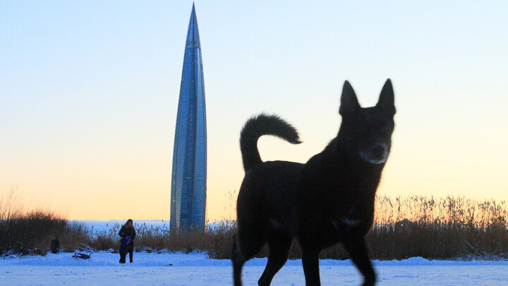 ОТО: ZAMIR USMANOV/GLOBALLOOKPRESS