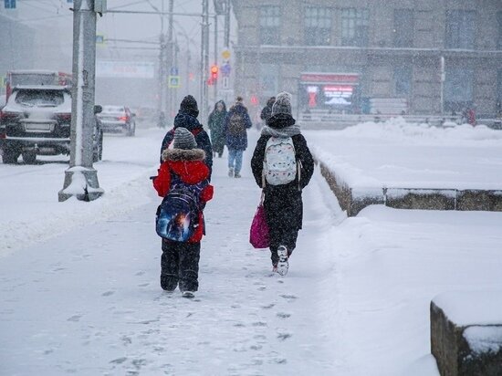     Фото: Густаво Зырянов / МК в Новосибирске