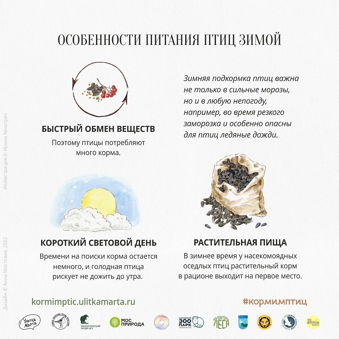 Шпаргалка из марафона по организации зимней подкормки птиц kormimptic.ulitkamarta.ru