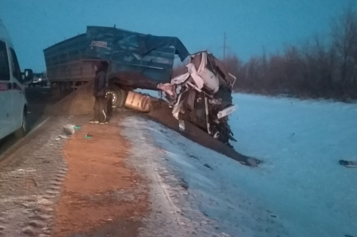    На трассе в Сорочинском ГО водителя раздавило между двух «КАМАЗов».