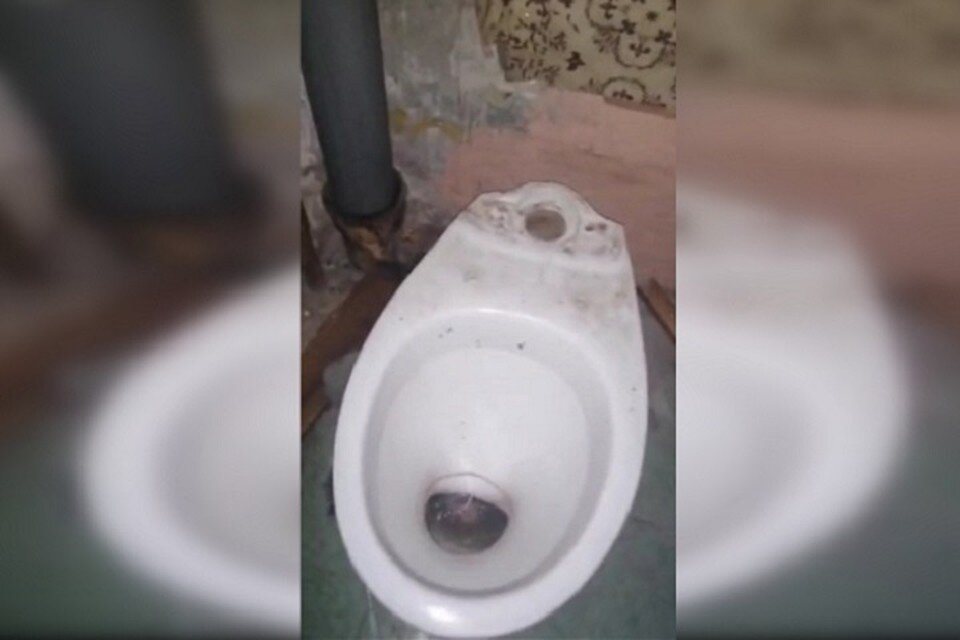     Мужчина искромсал провода, снял дверные коробки, отрезал линолеум и порвал обои Фото: скриншот с видео