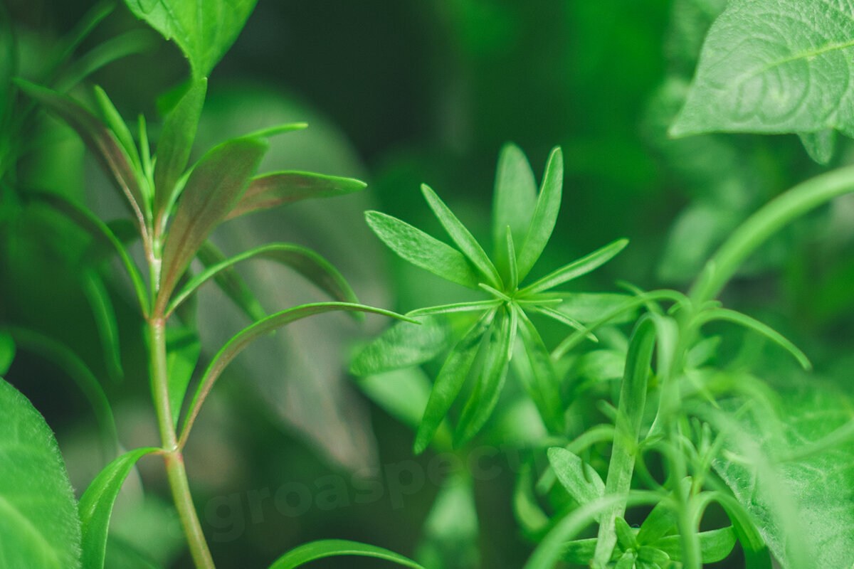 Агроаспект. Агроаспект екатеринбург. Агроаспект. Агроаспект екатеринбург. Агроаспект групп лого.