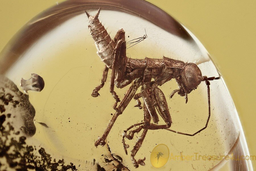 Чуваки, я застрял, вытащите меня!