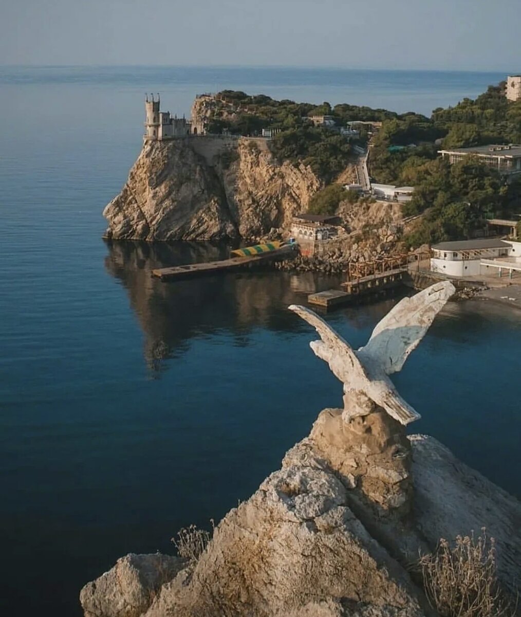 Изображение из свободного источника 