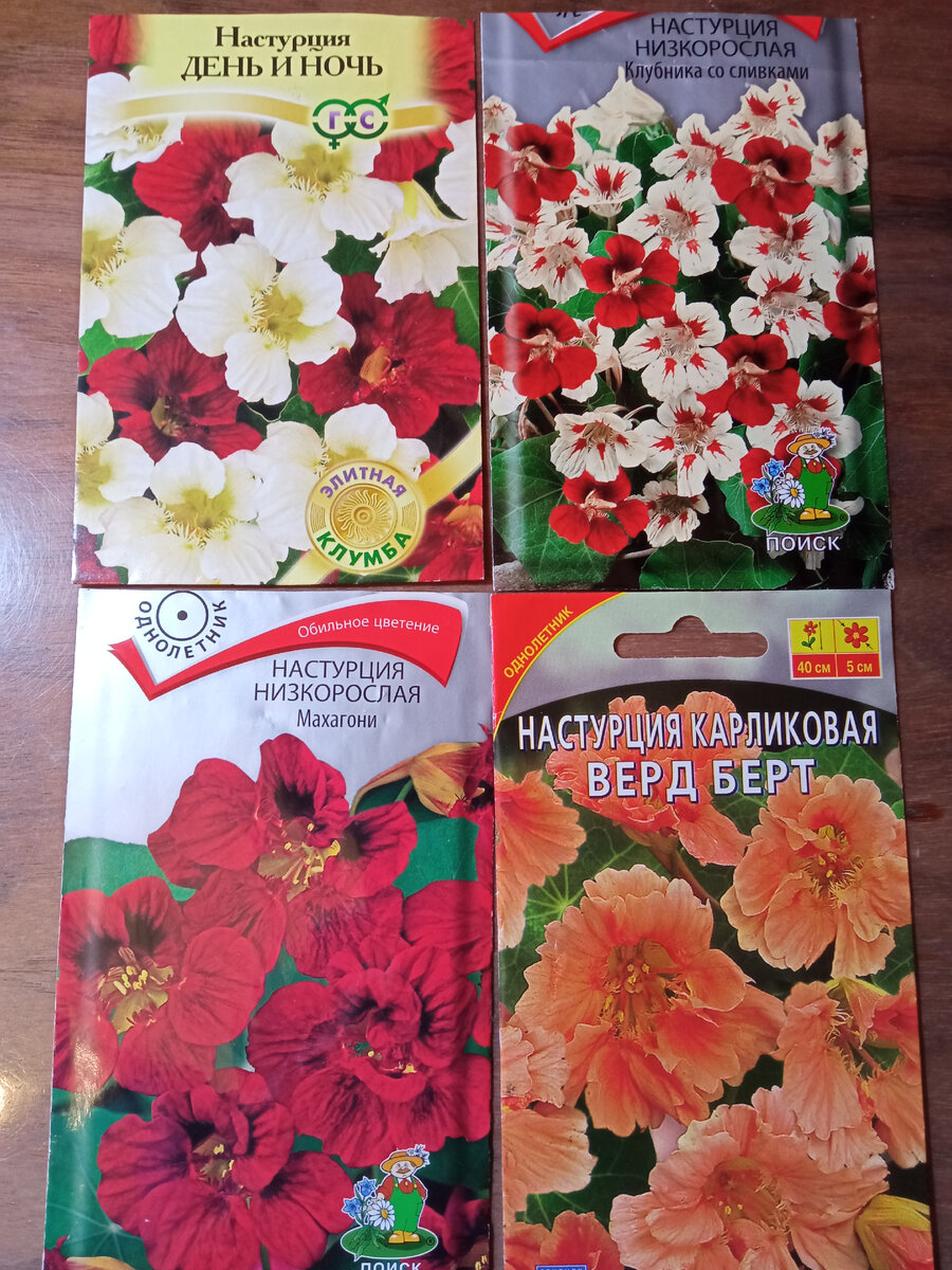 Такие сорта росли у меня раньше, но фото, к сожалению, нет. Кто же знал, что для Дзена пригодятся. 