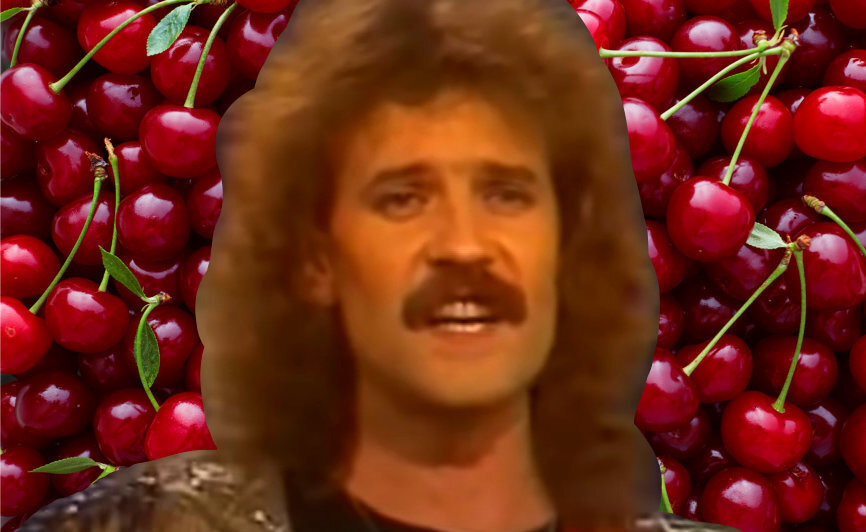 «Вишня, неспелая вишня! Ну как же, как же так вышло?» Откуда взялся ...