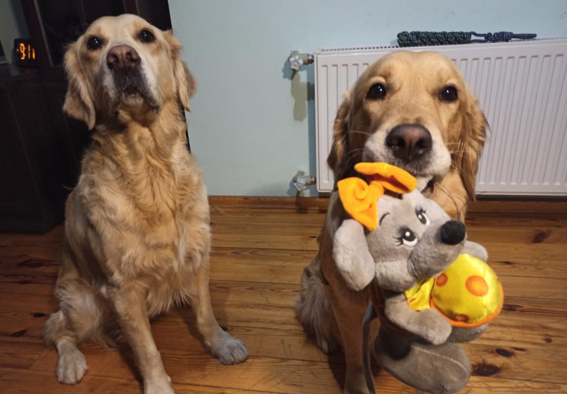 Куба, Ляля и любимая игрушка Мышь