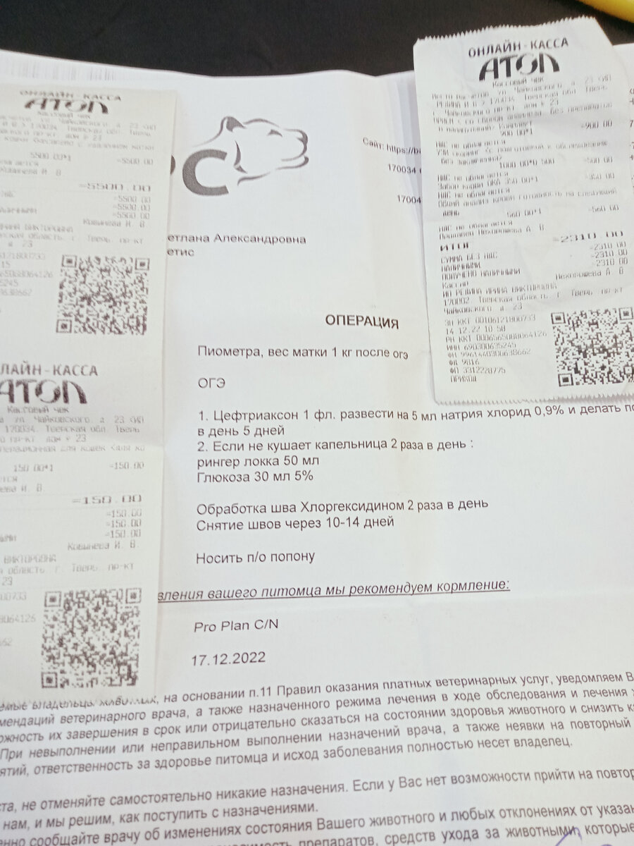 Фото автора