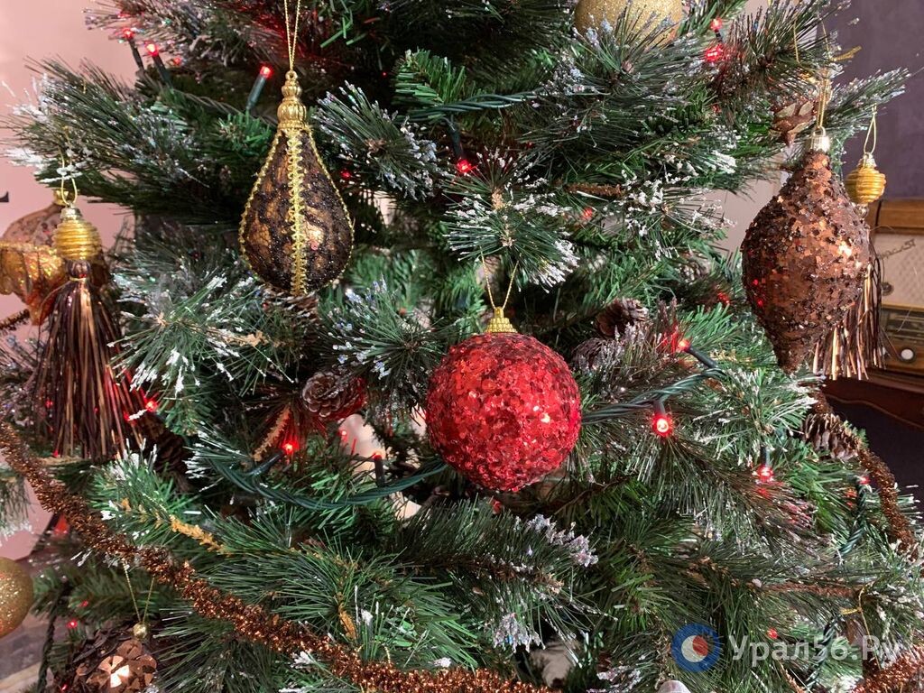    На Новый год мечты в России каждый пятый хотел бы устроить праздник на 400 тыс рублей