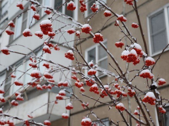     Фото: Юлия Боровикова.