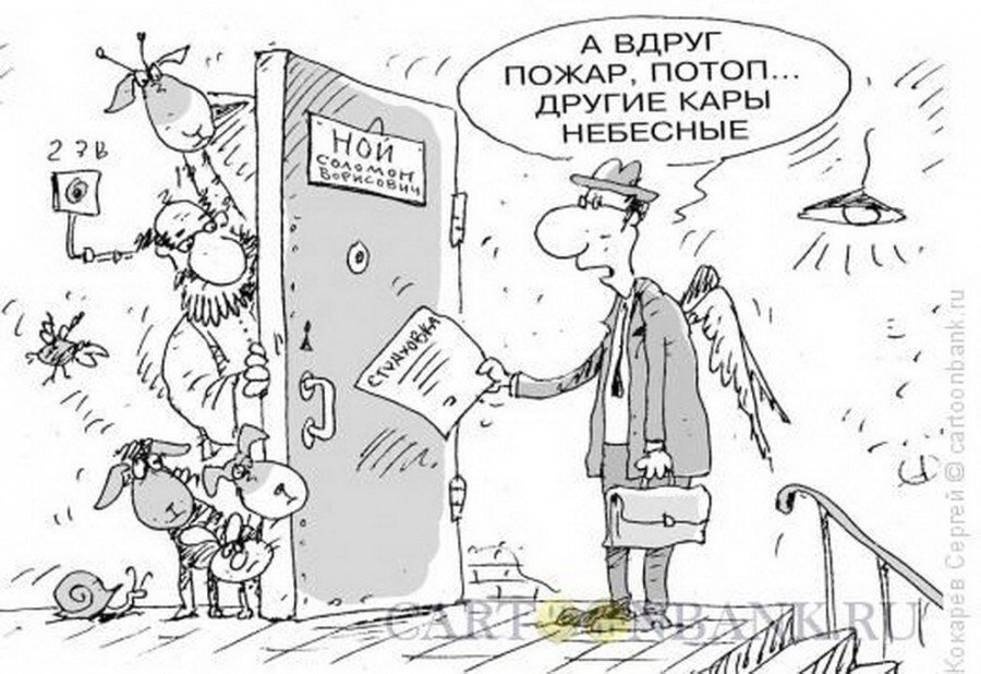 Картинки про страхование прикольные