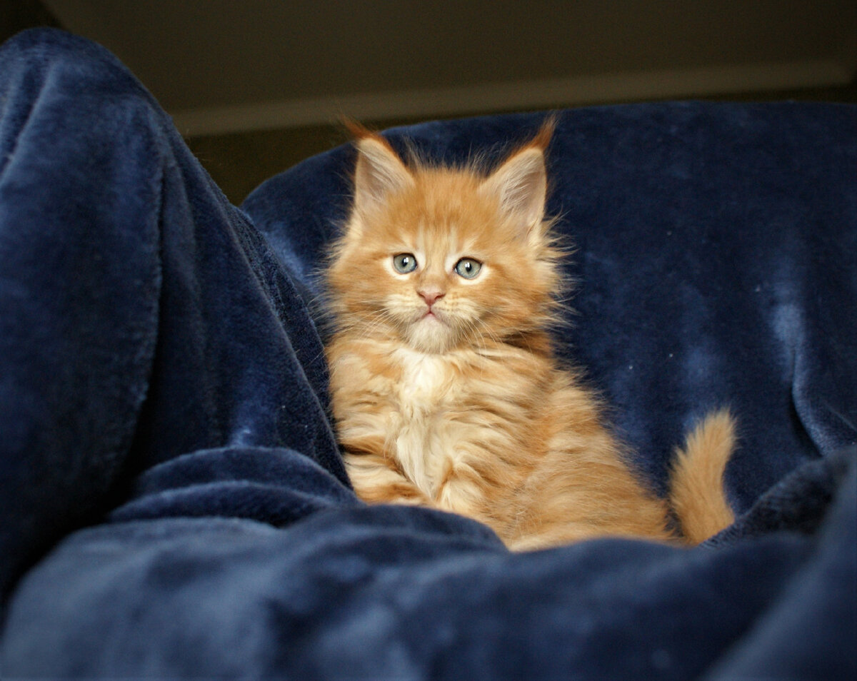 Фото из личного архива.