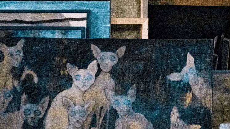    ДИЛАРА ДАУТОВА, «ЭКСПЕРТ ЮГ «Девочки же любят кошек, и я люблю. Вот таких»